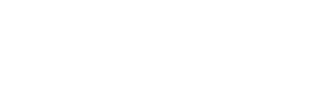 LGP Les Gardiens Parisiens